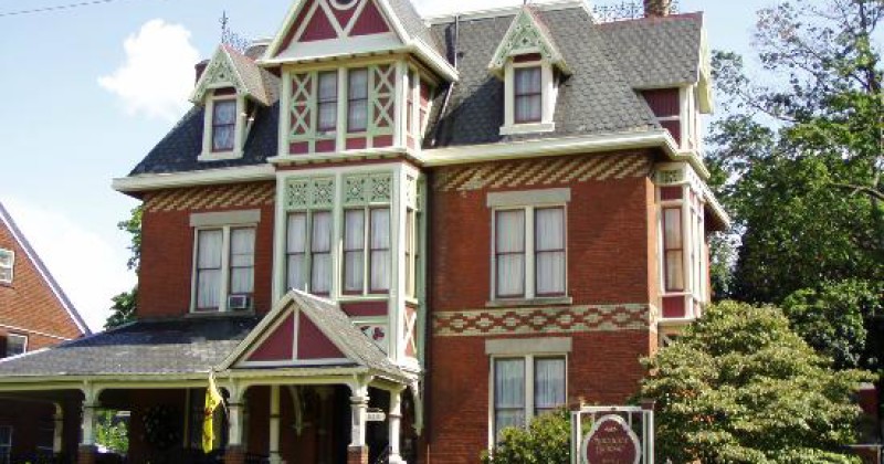 Abominable pig essay 06 picture