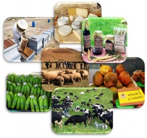 ejemplo-de-plan-de-negocios-rural