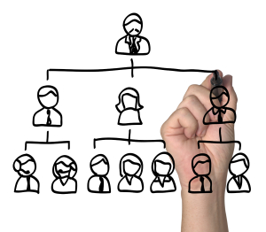 organigrama
