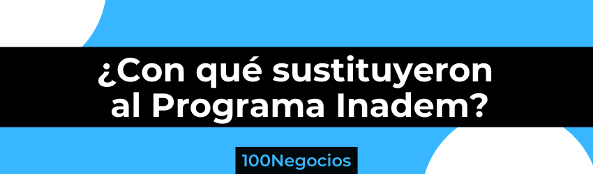 programa inadem sustituto
